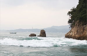 来岛海峡急流观潮船